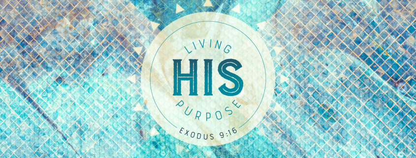 2019_wmu_missions_celebration_header_845x321_cky.png